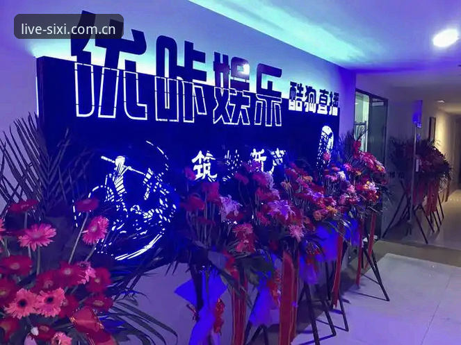 四喜娱乐直播下载常见问题 四喜娱乐直播下载常见问题拆解:官方渠道vs第三方风险,哪个更靠谱?