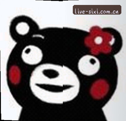 赵雅